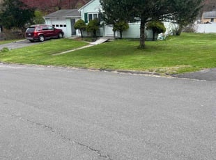 Carolyn C.'s lawn service service result