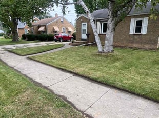Nicholas W.'s lawn care services service result