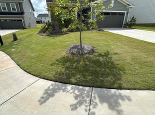Tonya R.'s turf maintenance service result