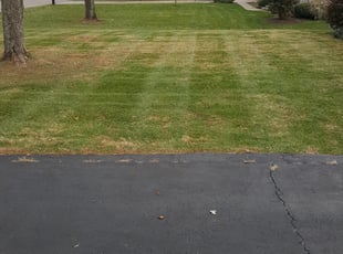 Jerrie-Lynn H.'s Leaf Removal service result