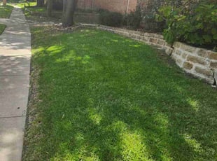 Marilyn B.'s lawn care service result