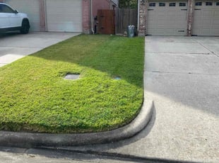 Aaron R.'s Long Grass Cleanup service result