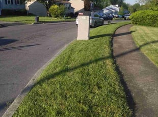 Mario C.'s lawn care service result