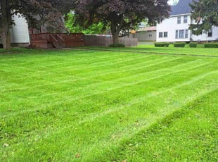 Sheila S.'s lawn maintenance service result