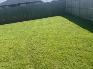 James C.'s turf maintenance service result