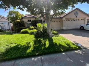 Adriane H.'s turf care service result