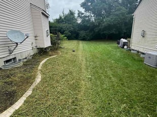 Nancy S.'s Weeding service result