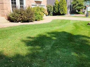 Maryjo E.'s turf maintenance service result