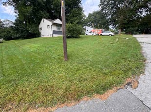Leola W.'s lawn maintenance service result