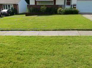 Cheryl H.'s lawn maintenance service result