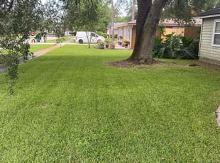 Melissa N.'s lawn care service result