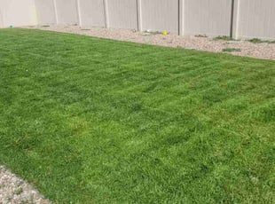 Richard W.'s turf maintenance service result