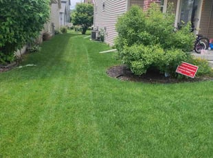 Mary A.'s lawn service service result