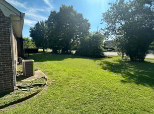 Michell B.'s grass maintenance service result