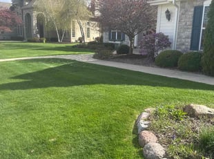 Kenya W.'s lawn care services service result