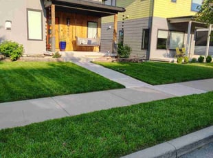 Shannon G.'s lawn service service result