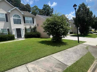 Melia S.'s lawn care services service result