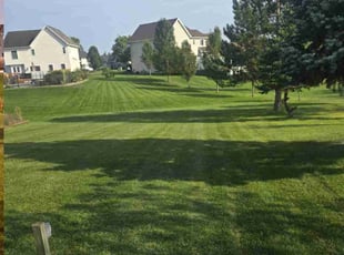 Glen J.'s grass cutting service result