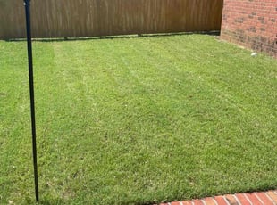 Laronda M.'s grass maintenance service result