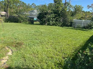 Charlene M.'s lawn service service result