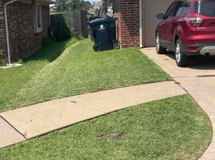 Brent A.'s grass cutting service result