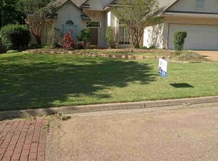 Louise B.'s lawn maintenance service result