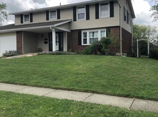 Karen B.'s turf care service result