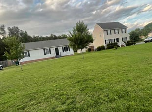 Alaa M.'s lawn care service result