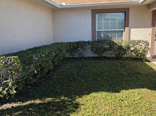 Bianca A.'s Bush Trimming service result