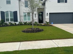 Hillary L.'s turf care service result