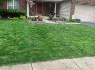 Linda G.'s grass maintenance service result