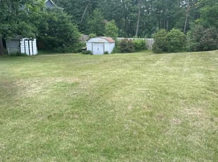 Peniel J.'s turf maintenance service result