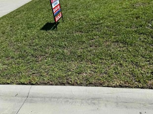 Jagjeet C.'s lawn care service result