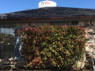 Terri A.'s Bush Trimming service result