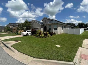 Lyndon F.'s lawn maintenance service result