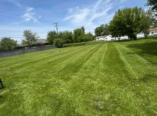 Travis W.'s lawn service service result