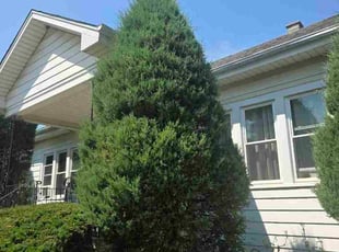 Cheney F.'s Bush Trimming service result