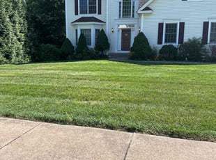 Heather S.'s lawn service service result