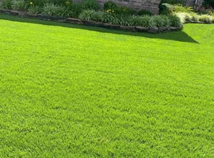 Melissa M.'s lawn maintenance service result
