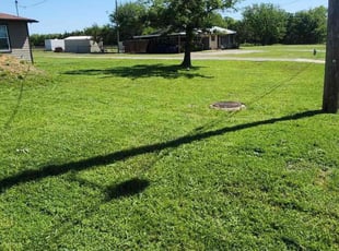 Brenda H.'s turf care service result