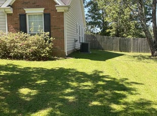 Zay T.'s grass maintenance service result