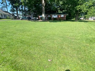 Dorothy I.'s grass cutting service result