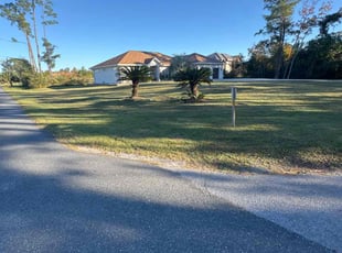 Leon S.'s lawn service service result