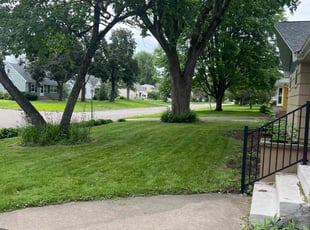Elaine t.'s turf care service result