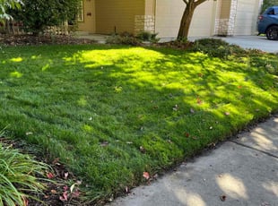 Jan G.'s lawn maintenance service result
