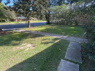 Nahid K.'s lawn service service result