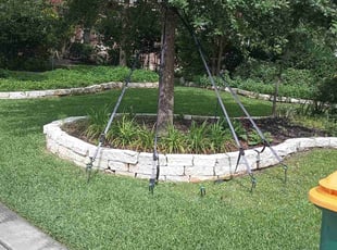 Wyanna B.'s lawn maintenance service result