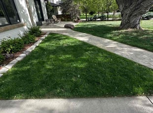 Penelope R.'s turf maintenance service result