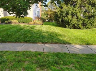 Derek S.'s turf maintenance service result