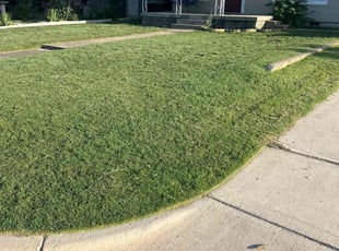 Brenda H.'s turf care service result
